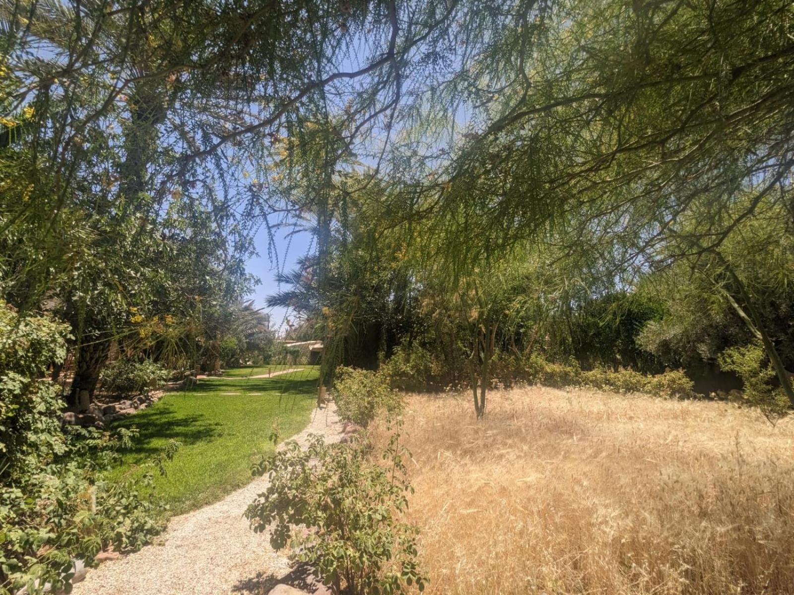 L'Ma Lodge Skoura Exteriér fotografie