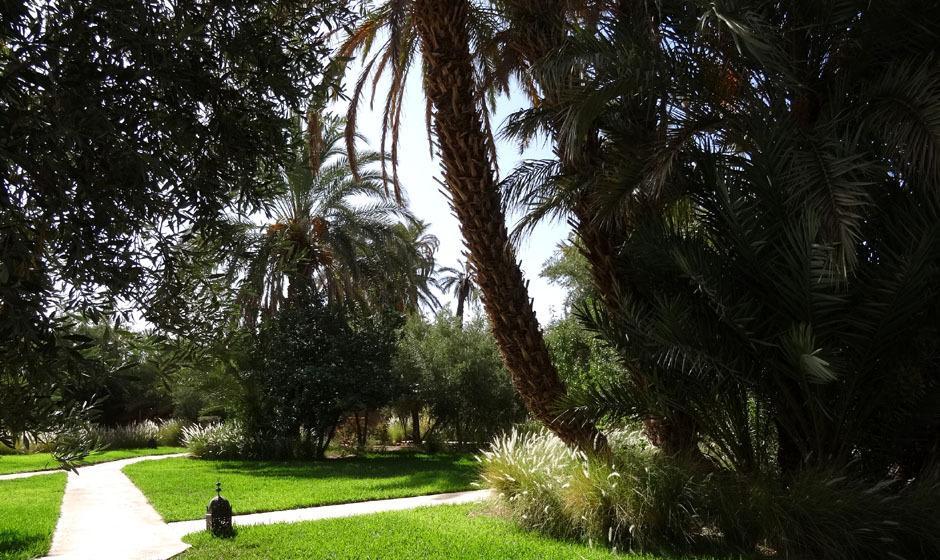 L'Ma Lodge Skoura Exteriér fotografie